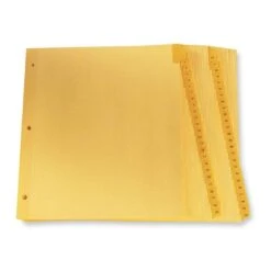 Oxford Binder Dividers With Number 1-31 Printed Tab -Merangue International shop large ff45a oxford n 735 CR213 12 Dividers Oxford Printed Dividers Buff Plastic Reinforced Tabs